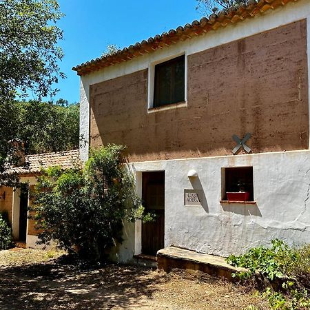 Gasthaus Casas Da Cerca Troviscais Exterior foto