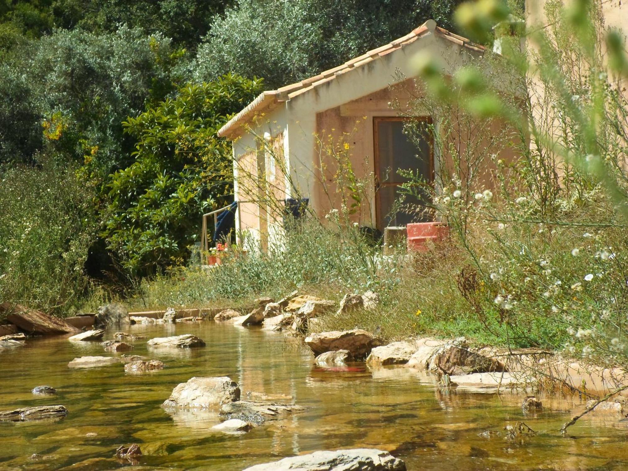 Gasthaus Casas Da Cerca Troviscais Zimmer foto