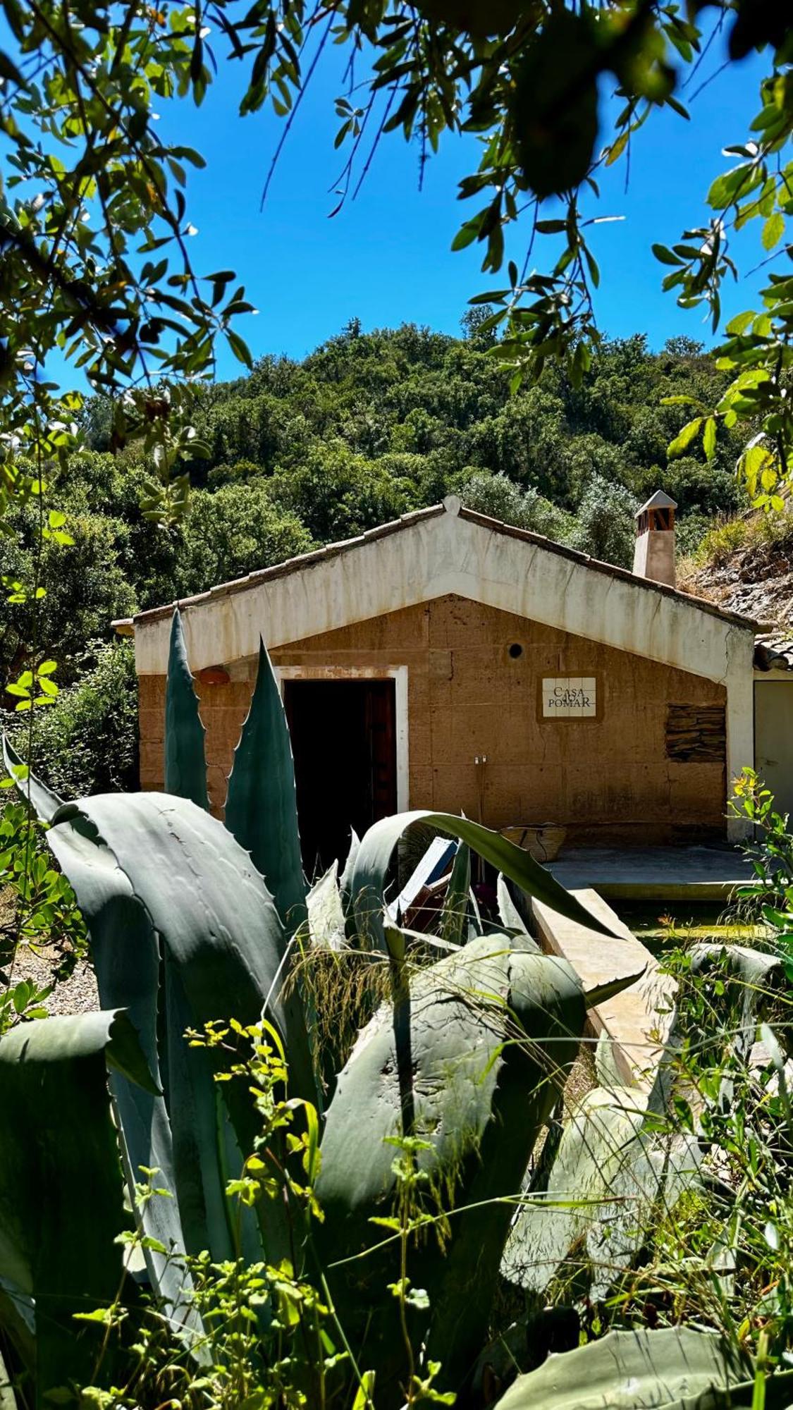 Gasthaus Casas Da Cerca Troviscais Exterior foto